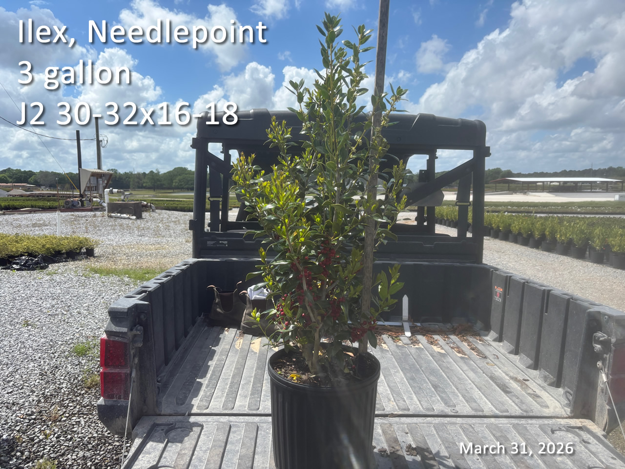 gallery/np3 j2 mar31.jpg